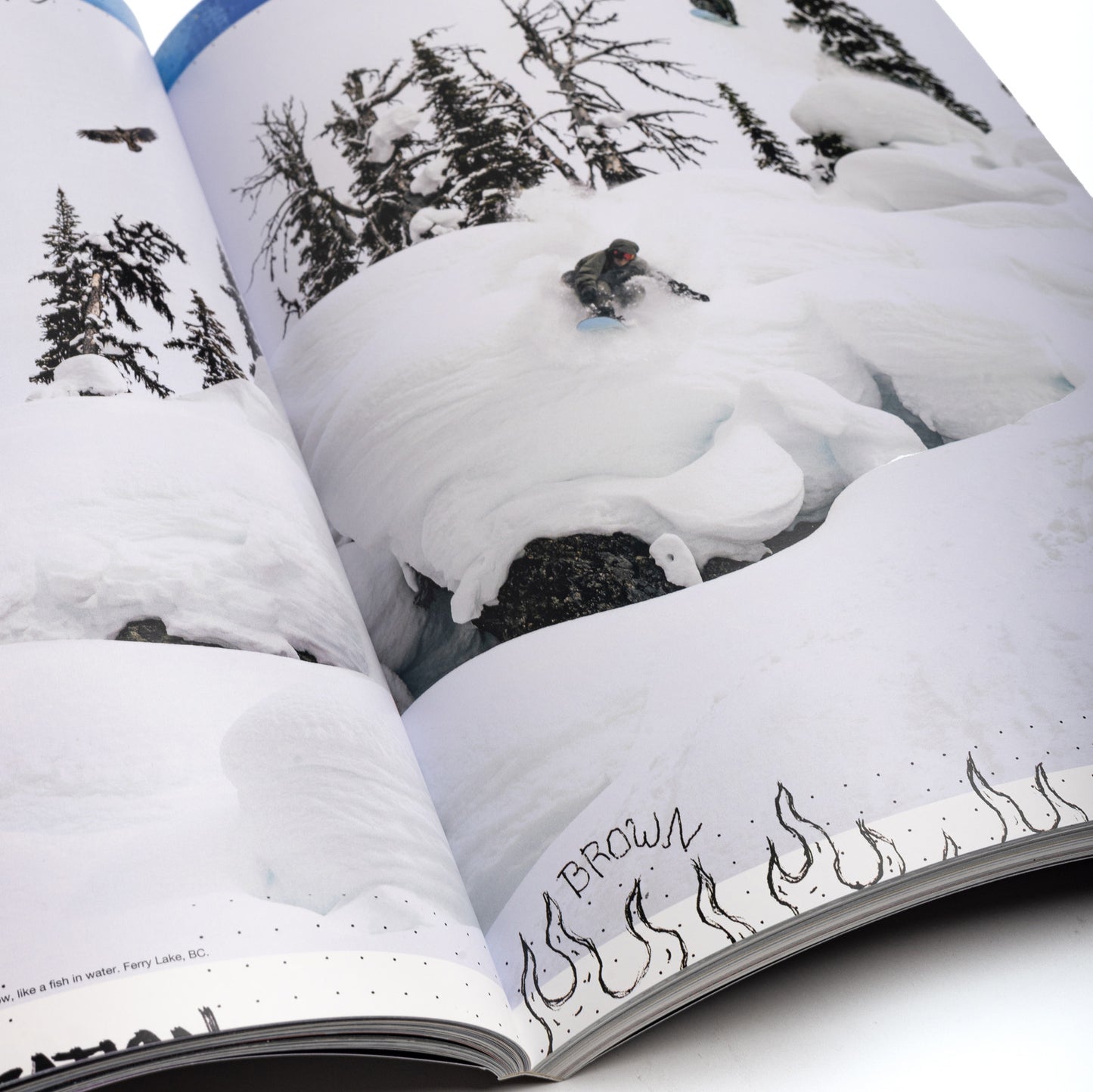 Issue SIX