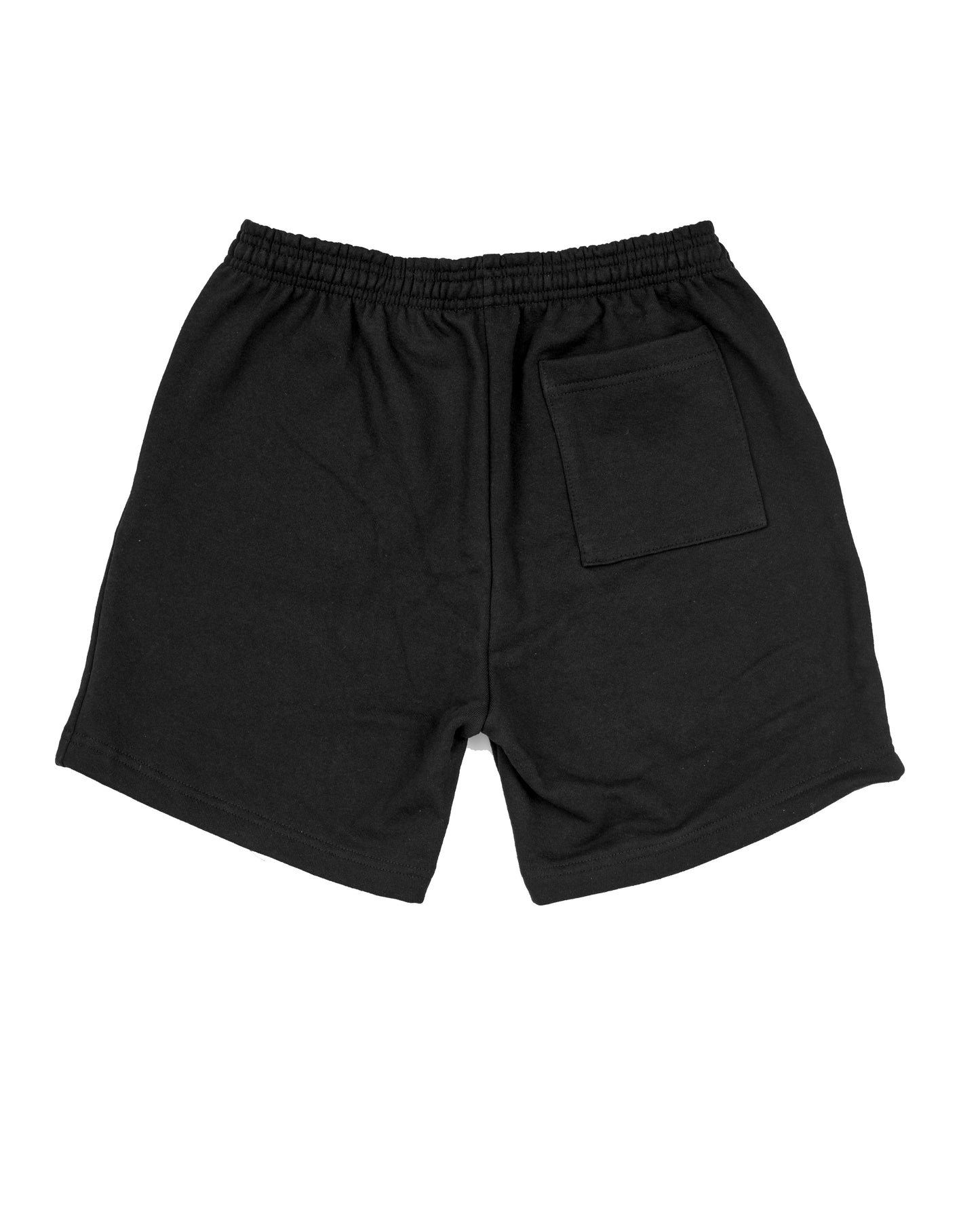 Torment Reader Shorts